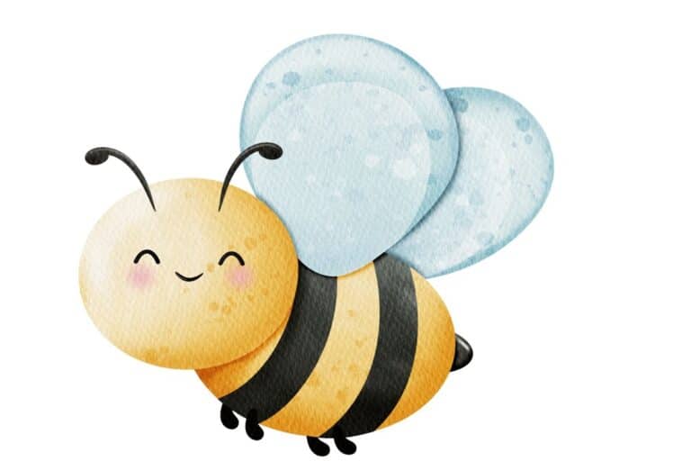 Sommerbienen