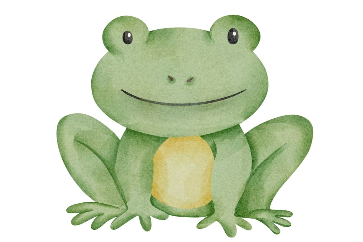 EKIZVoitsberg_Frösche