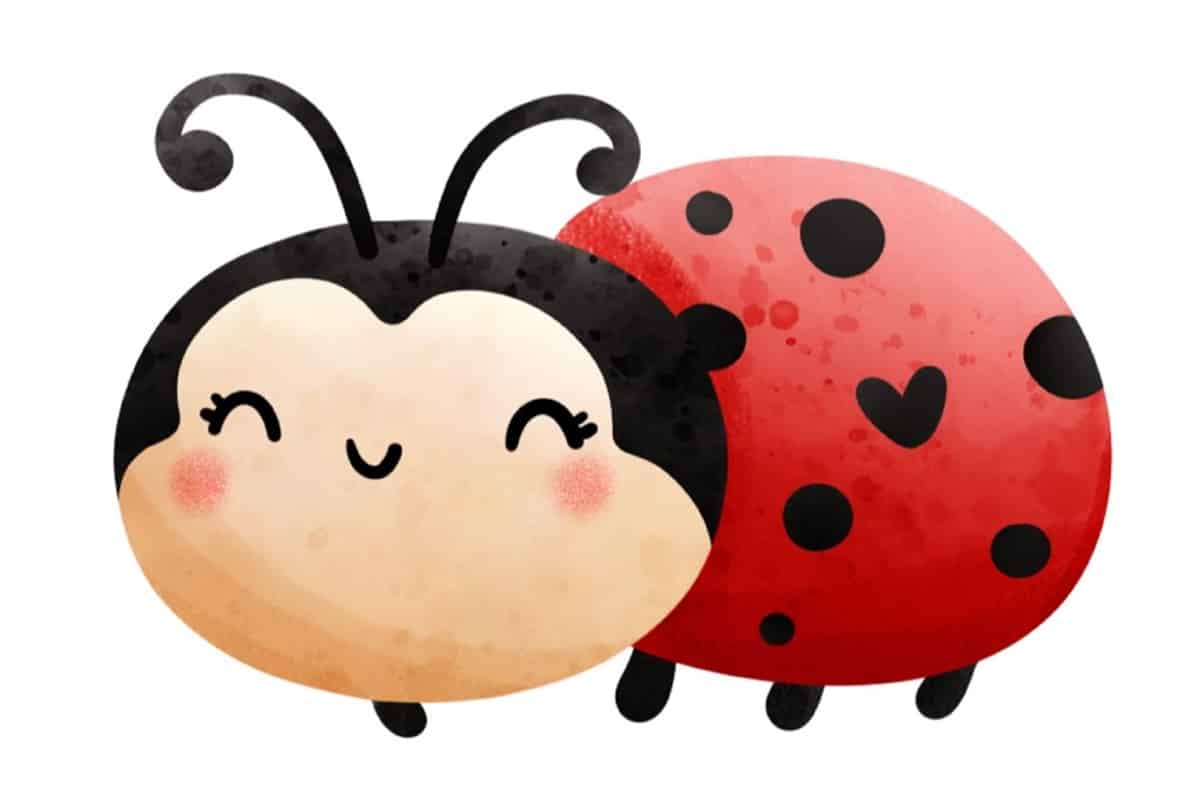 EKIZVoitsberg_Marienkäfer