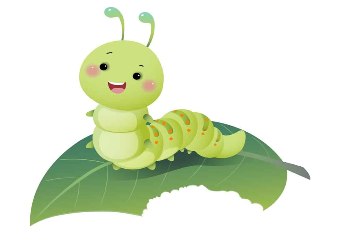 EKIZVoitsberg_Raupen