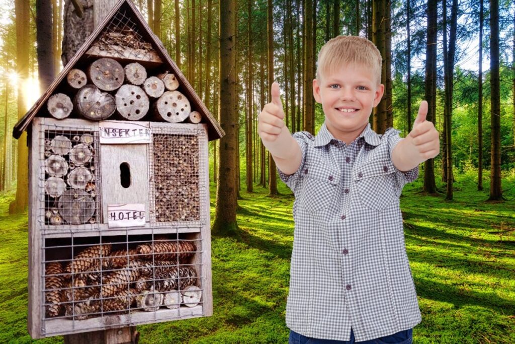 Insektenhotelbasteln