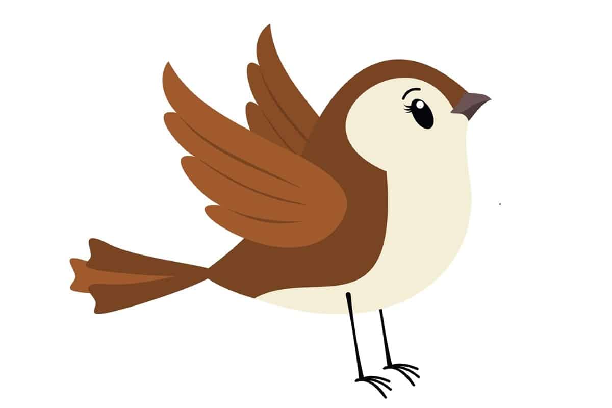 EKIZVoitsberg_Spatzen